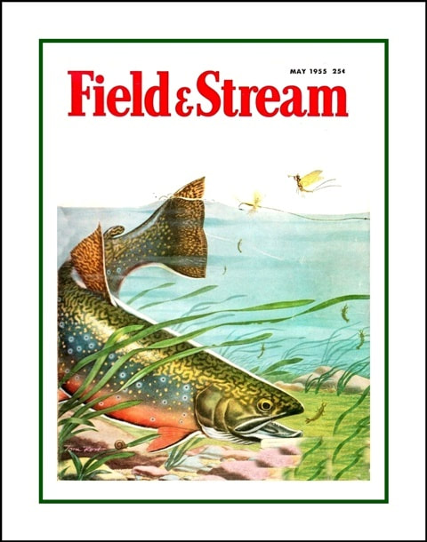 Rare 1955 Field & Stream Print, Unique Fishing Gift