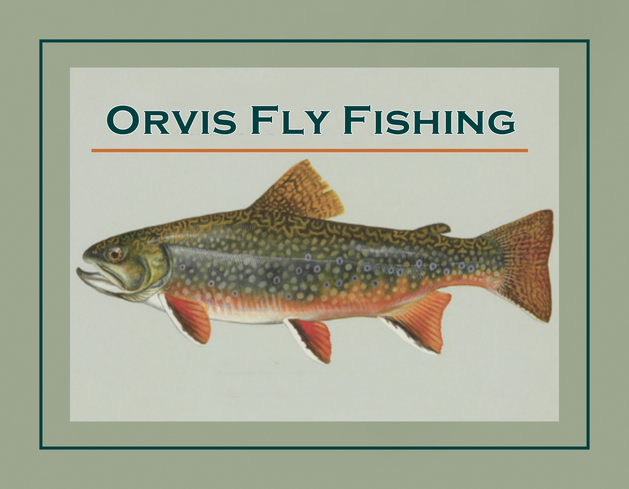 Vintage Orvis Fly Fishing Poster, Trout Wall Art, Lodge, Cabin Wall Decor  Gift