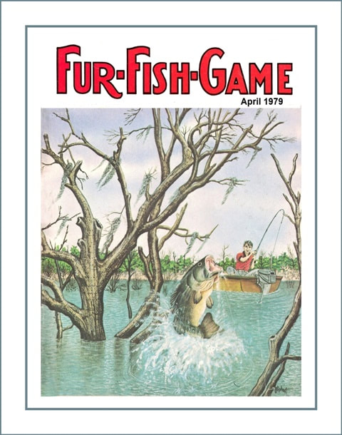 Unique 1931 Trout Fishing Poster, Canoe Wall Art Gift